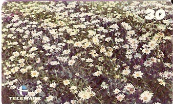 RJ-1077 - Primavera - 1/4