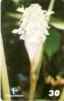 PE-590 - Flores - 1/6
