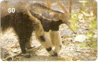 MT-033 - Tamanduá Bandeira