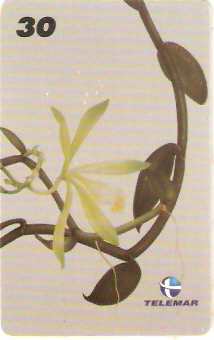 RJ-0777M - Vanilla Chamissonis