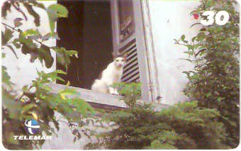 RJ-0790M - Bairros Portuários - 12/12