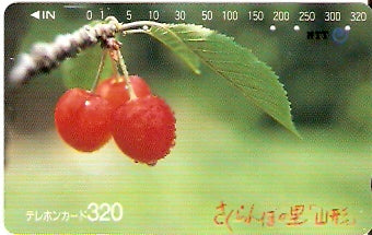 JAP-410-237