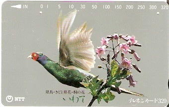 JAP-410-298