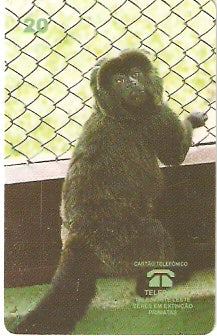PA-050 - Mico-Preto