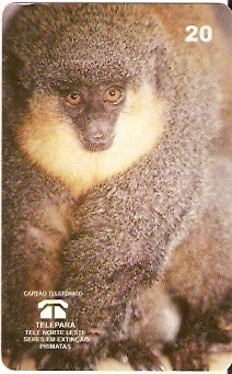 PA-055M - Macaco Zog-zog
