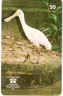 PA-062M - Colhereiro - B1