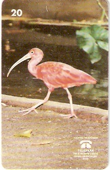 PA-061M - Guará - B1