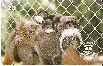 PA-057M - Macaco Bigodeiro