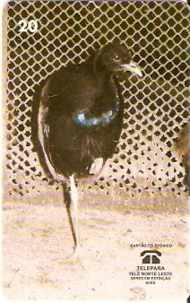 PA-063 - Jacamim - B1