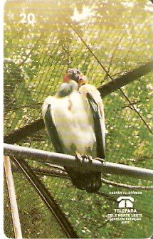 PA-064 - Urubu-Rei - B1