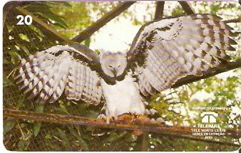 PA-065 - Gavião-Real - B1