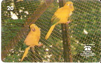 PA-066 - Ararajuba - B1