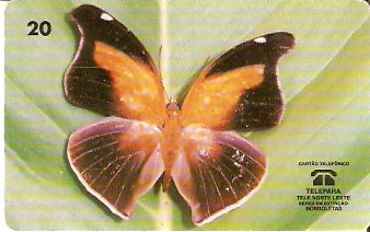 PA-067 - Historis Orion