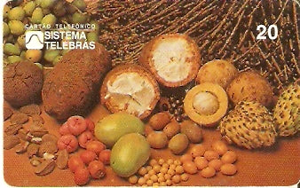 PA-022 - Frutas Típicas