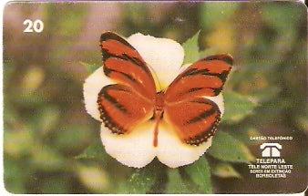 PA-069M - Agraulis Vanillal