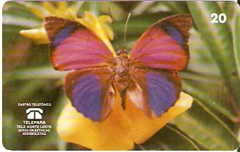 PA-070 - Agrias Amydon