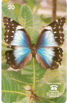 PA-074M - Morpho Achilles