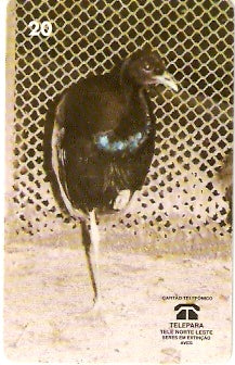 PA-080 - Jacamim - B2