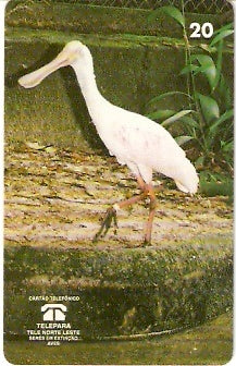 PA-079 - Colhereiro - B2