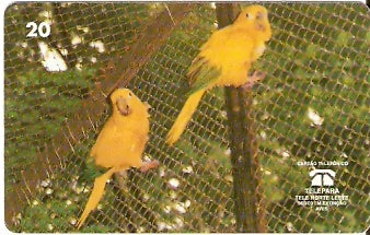 PA-083 - Ararajuba - B2