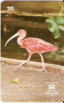 PA-078 - Guará - B2