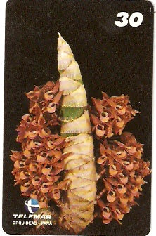 PA-090 - Orquídeas - 07/11