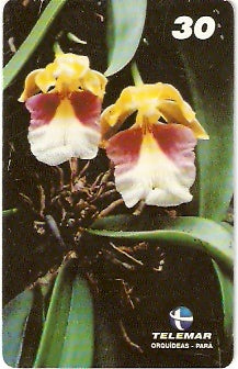 PA-087M - Orquídeas - 04/11