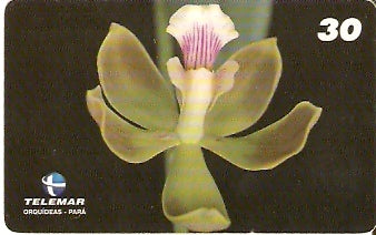 PA-084M - Orquídeas - 01/11