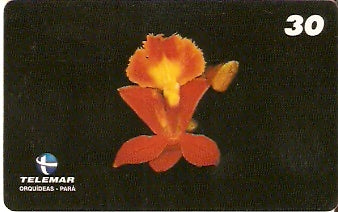 PA-091 - Orquídeas - 08/11