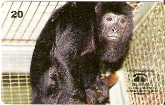 PA-058M - Macaco Guariba