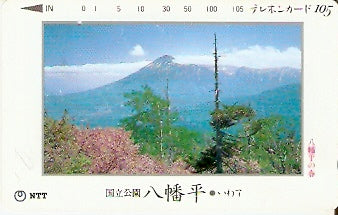 JAP-410-424
