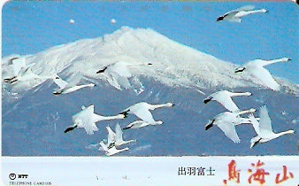 JAP-411-063