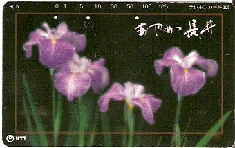 JAP-411-115
