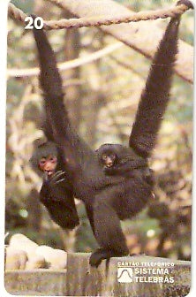 RJ-0082 - Meio Ambiente - B1 - 3/6