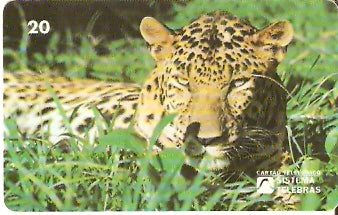 RJ-0080 - Meio Ambiente - B1 - 1/6