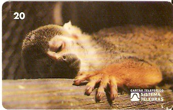 RJ-0081 - Meio Ambiente - B1 - 2/6