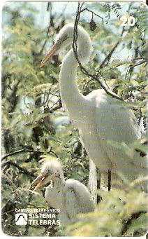 RJ-0083 - Meio Ambiente - B1 - 4/6