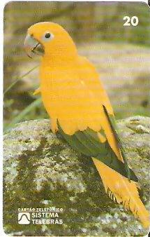 RJ-0084 - Meio Ambiente - B1 - 5/6