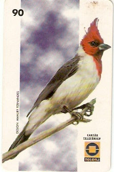 RJ-0181 - Aves - 02/10