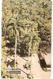 RJ-0200 - Corredor Imperial - 8/8