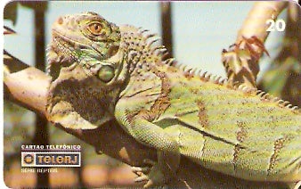 RJ-0213 - Répteis B1 - 1/4