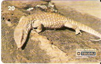 RJ-0215 - Répteis - 2/4