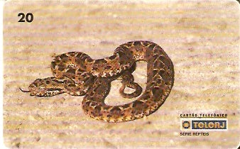 RJ-0216 - Répteis B1 - 3/4