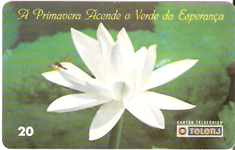 RJ-0393 - Primavera