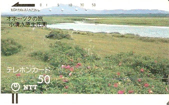 JAP-430-025