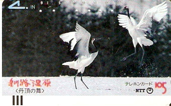 JAP-430-047
