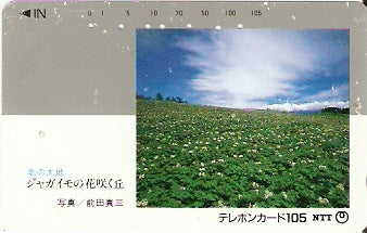 JAP-430-121
