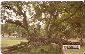 RJ-0445 - Quinta da Boa Vista - 05/10