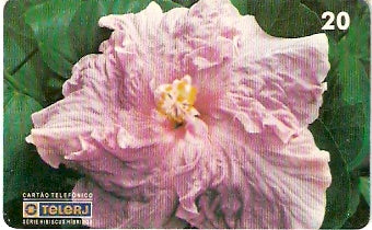 RJ-0452 - Hibiscus - 02/20