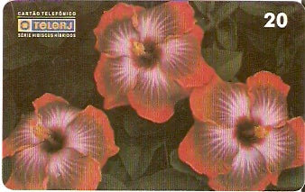 RJ-0451 - Hibiscus - 01/20